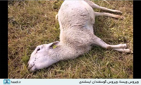 جنگی که روزانه جان هزاران نفر را می‌گیرد