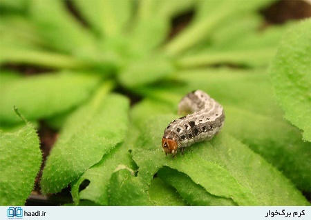 جنگی که روزانه جان هزاران نفر را می‌گیرد