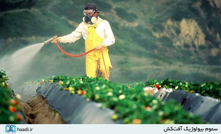 جنگی که روزانه جان هزاران نفر را می‌گیرد