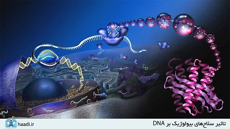 جنگی که روزانه جان هزاران نفر را می‌گیرد