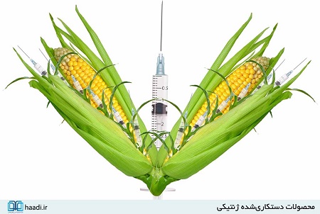 جنگی که روزانه جان هزاران نفر را می‌گیرد