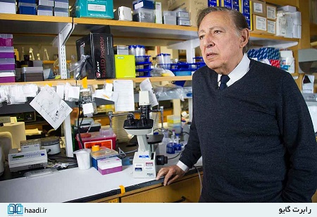 جنگی که روزانه جان هزاران نفر را می‌گیرد