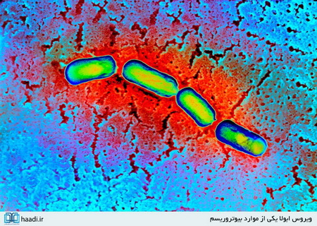 بیوتروریسم؛ یک جنگ نابرابر