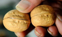  گردوهای خوشمزه