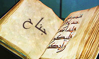 جناح