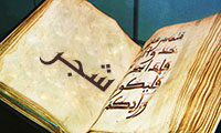  شجر