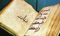 نبات