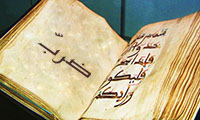  ضرب