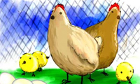 مرغ قشنگ تپلي