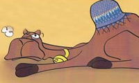 شتر و شتربان