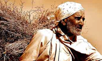  خارکن و سه گردو 