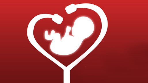 نمودار ضربان قلب طبیعی جنین