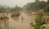  ماهیگیری در آب گل‌آلود 
