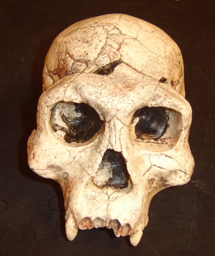 نخستين انسان در ايران