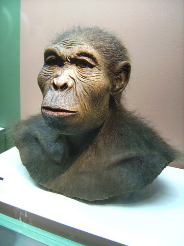 نخستين انسان در ايران