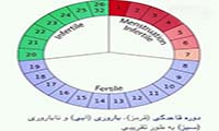 چیزهایی که باید درباره ترشح واژن در زمان تخمک‌گذاری بدانید