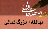  مبالغه/  بزرگ نمائي Amplification 