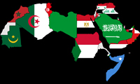  انعطاف پذیری اقتدارگرایی