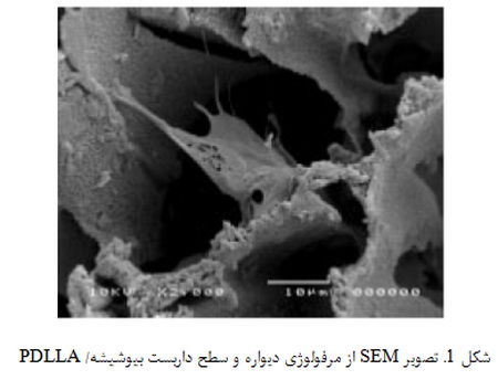 داربست های زیست تخریب پذیر و بیوفعال پلیمر/ سرامیک (3)