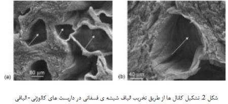 داربست های زیست تخریب پذیر و بیوفعال پلیمر/ سرامیک (3)