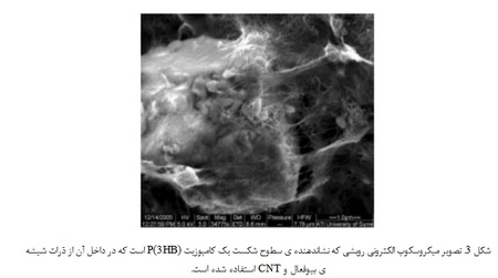 داربست های زیست تخریب پذیر و بیوفعال پلیمر/ سرامیک (3)