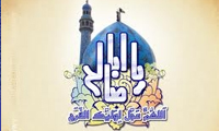 تاریخ سیاسی امام دوازدهم (عج)