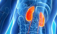 بیماری‌های كلیه