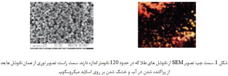 بیوسنسورهای بینی مصنوعی