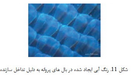   علم نانو در طبیعت (2)