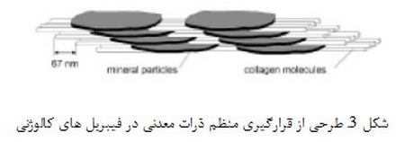  علم نانو در طبیعت (2)