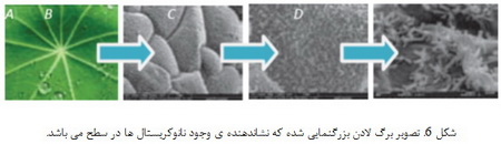   علم نانو در طبیعت (2)