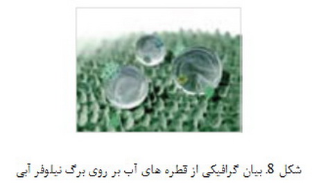   علم نانو در طبیعت (2)