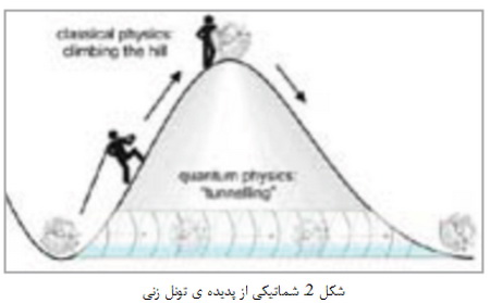 علم کوچک‌ها