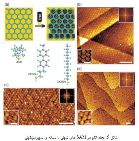  مونتاژ مستقیم نانوساختارها (2)