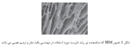  ترمیم استخوان با نانومهندسی