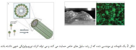  ترمیم استخوان با نانومهندسی