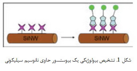 مشارکت نانوتکنولوژی در پزشکی