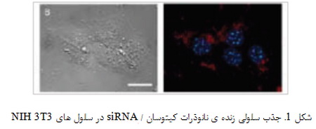 وسایل تشخیصی درجا