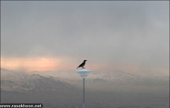 تهران برفی