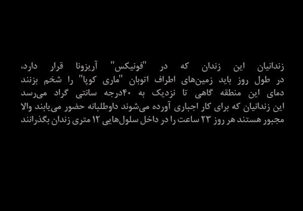 گزارش تصویری/ وضعیت سخت زنان زندانی در ایالت آریزونا آمریکا