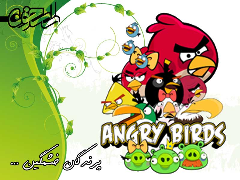 پرندگان خشمگین پرندگان خشمگین