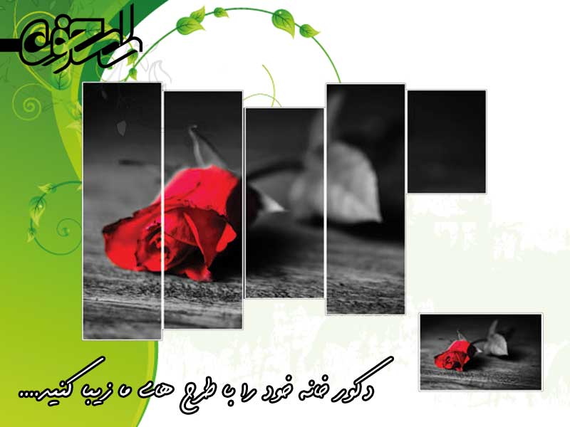 AP037