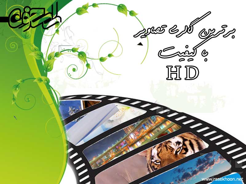 گالری تصاویر