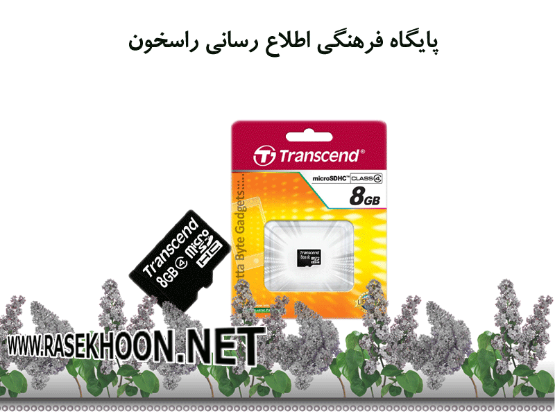 Transend - MicroSD - 8G